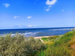 HausLIEBLINGSPLATZ - am Meer - Luxus Villa mit 4 Schlafzimmern, 3 Badezimmern Sauna, Kamin, Weber-Grill und Wallbox, Dranske